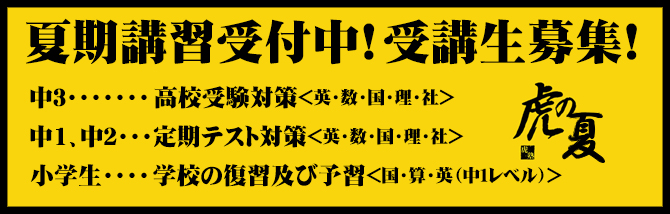 虎の夏